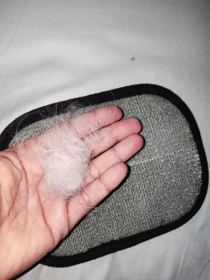 Electrostatic RhinoPaw Hair Removal Gloves